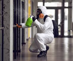 Reliable Dennison, OH Mold Removal Services Solutions